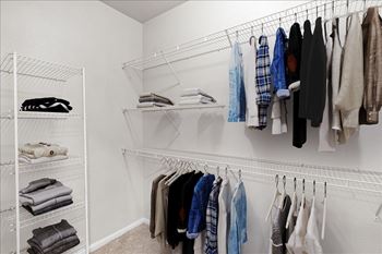 Large walk-in closets with shelves and clothes hanging